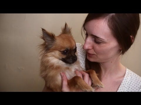 ✉ Story Sundays ✉  How Did I Get Into ASMR?!? My ASMR Discovery & Puppy Appearance