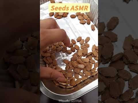 ASMR With Seeds - guess the seed! #gardening #asmrshorts #asmrnature