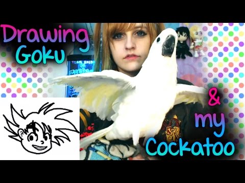 Watch me Draw Goku & Meet my Cockatoo ~ BabyZelda Gamer Girl 【 Dragon Ball Super, Resurrection F 】