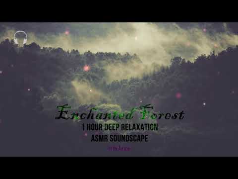 Enchanted Forest Ambience ★ ASMR Fantasy Soundscape ★ [binaural] [humming]