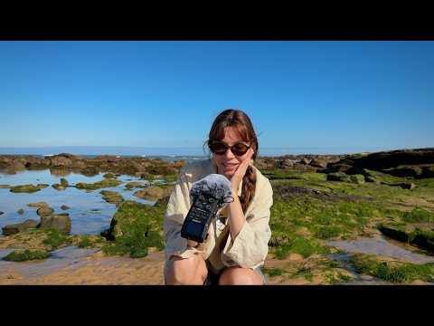 ASMR à la mer 🌊  bruit des vagues, tracing du paysage, sous l'eau...