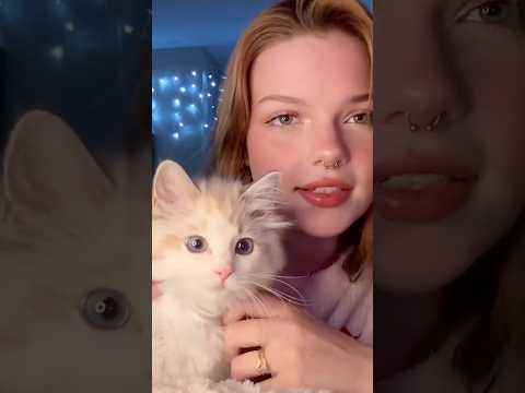 ASMR Cat Purring 🐾 Soft Petting & Tingles | #ASMR #CatASMR #PurringSounds #RelaxingShorts #Shorts