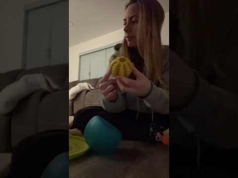 asmr with my dog’s toys 🐶 #asmr #lofi #puppy #sleep #relax #tapping #tingles