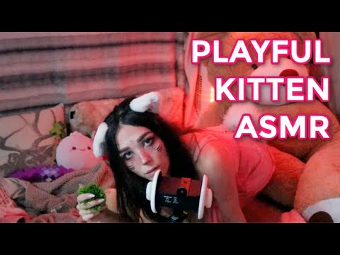 Playful Kitten ASMR to help you relax! 🦊