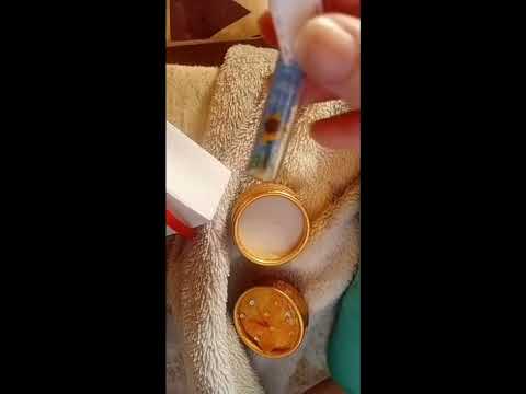 Momento destacado de transmisión en vivo mi regalo favorito de lu💛