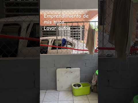 Grandes mentes de tiburón 🦈