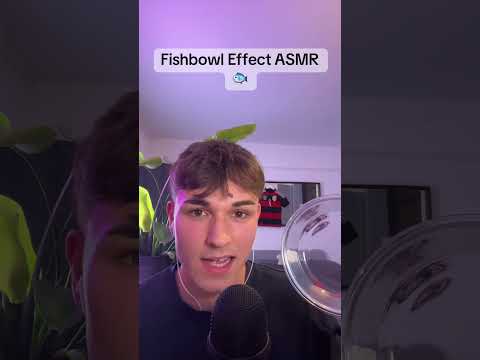Fishbowl ASMR