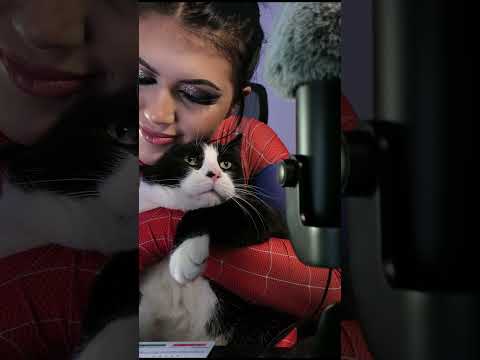 Meeting My Cat!!!! Whispering ASMR in a Spiderman Outfit 🕷️ #asmr #spiderman #cat #shorts