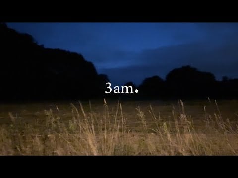 It’s 3 a.m - let’s go on a quiet walk