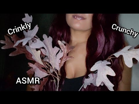 ASMR Crispy Crunchy Crinkly Fall Autumn Leaves, Stick Breaking, and Playing With Cute Acorns 🍁🍂