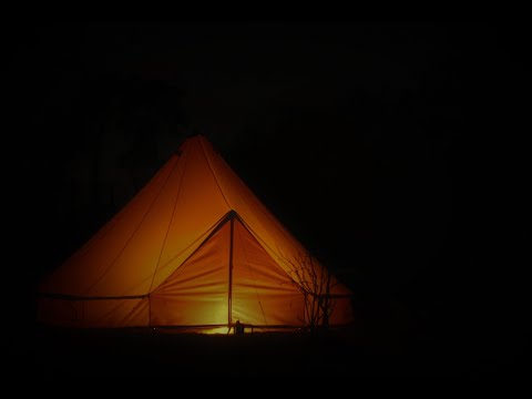 [Furry ASMR] Your friend gives you ear noms inside of tent.