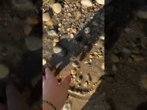ASMR outside #asmr #lofiasmr