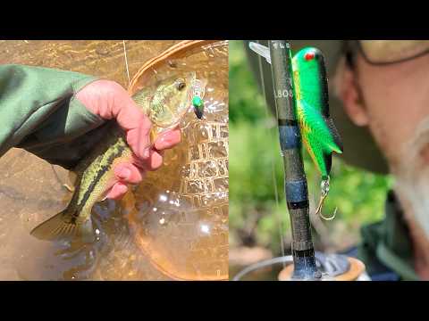 Fishing ASMR: Catching Multispecies with Modified Crickhoppers