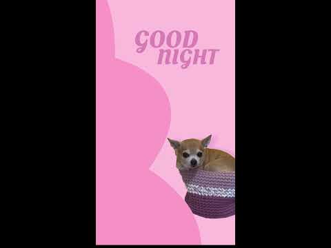 LIVE ASMR #asmr #fyp #relaxing 