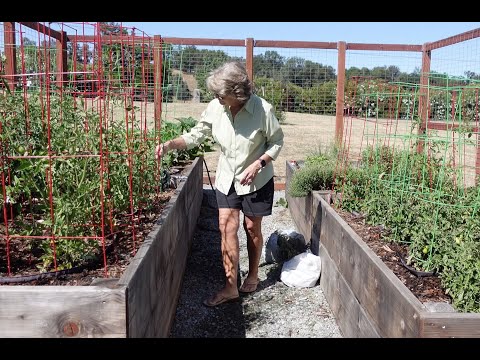 ** GARDEN UPDATE VLOG - REGULAR & SOFT-SPOKEN **