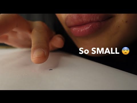 Pov tiny: As Tiny As A Speck | Giantess view 👀