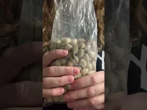 ASMR Plastic Pistachio Bag Crinkles #ASMR #Shorts