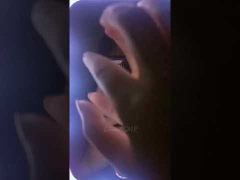 ASMR Camera Tapping 📷 #asmr #relaxing #relaxingasmr #cameratappingasmr