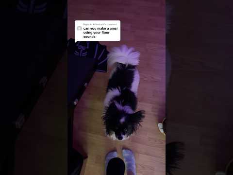 crunchy floor asmr + my dog being the champion of "standing in the way" lol #asmr #funny #asmrshorts