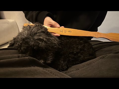 효자손으로 무작위 긁기👂🏻 긁는 소리 ASMR ㅣScratching Sounds