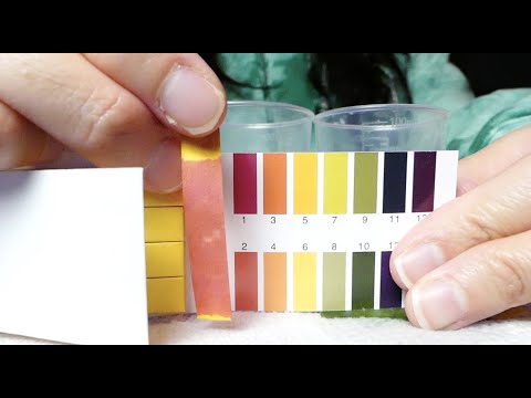 ASMR Advent Day 24 | ASMR Science, Legos, and Chocolate Eating