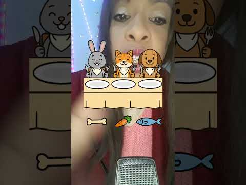 ASMR COMIDINHA PARA OS PETS #shorts