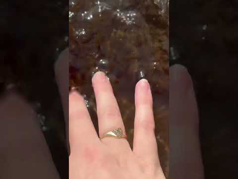 ASMR outside #asmr #lofiasmr