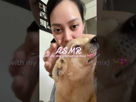 thought you guys needed some cuteness therapy after my last videos 😂💖🐕