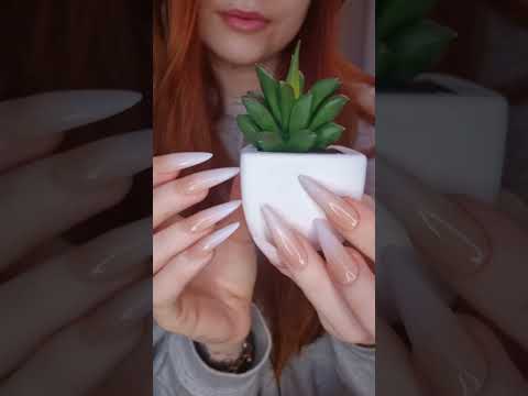 fake plant asmr💚#asmrvideo #relax #fakeplants #asmr #asmrsounds #plantasmr #tappingtriggers #relax