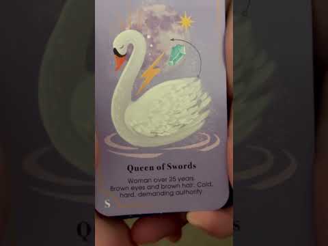 Who is this to you? #dailytarotreading