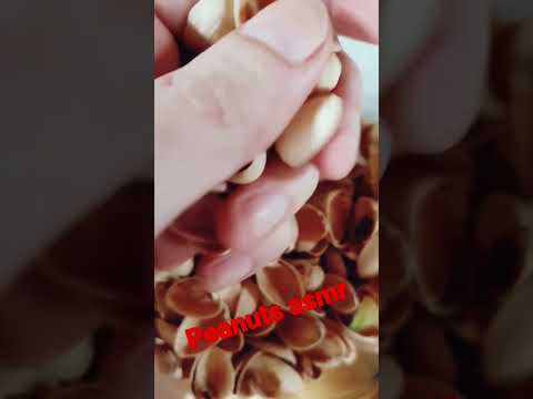 Peanuts ASMR  #asmr #sensoradi #peanuts #shorts