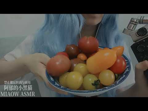 827，🍅Tomato小番茄咀嚼聊天chewing talking （zoom3dio） 17min