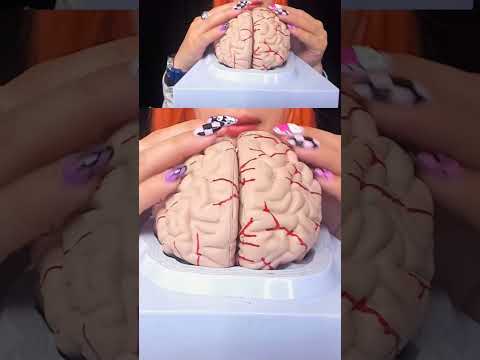 ASMR Brain Massage | Relaxing 3D Sounds for Mind Healing & Deep Focused #shortvideo #shorts