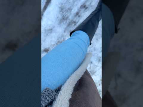 ASMR mit meiner engen Jeanshose mit den Hunden draußen auf Glatteis. 🤭