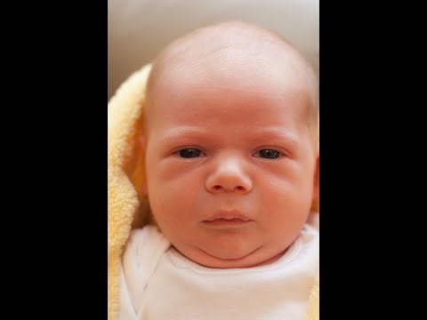 Super Serious Deadass ASMR LIVESTREAM