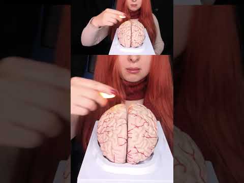 ASMR 🧠 BRAIN TINGLES WITH MAGIC FINGER #relaxingtriggers #asmr