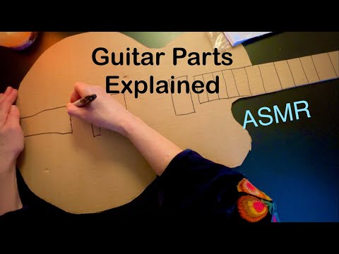 ASMR Guitar Parts Explained | Soft Spoken & Relaxing Learning Experience | Beginner Guitar 101