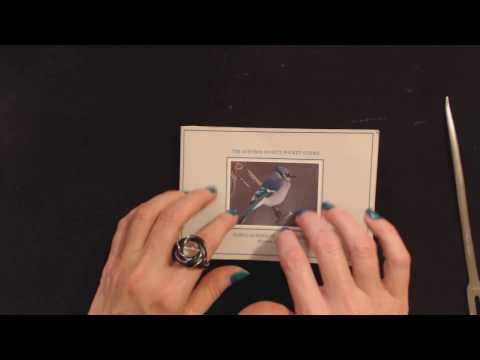ASMR Whisper Reading ~ Eastern North American Birds