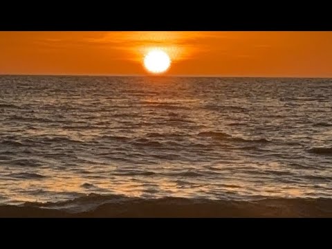 Escape the Negativity | Peaceful Beach Experience 