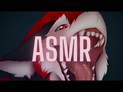 [Furry ASMR] Ear Licks From Your Pet Dragons.