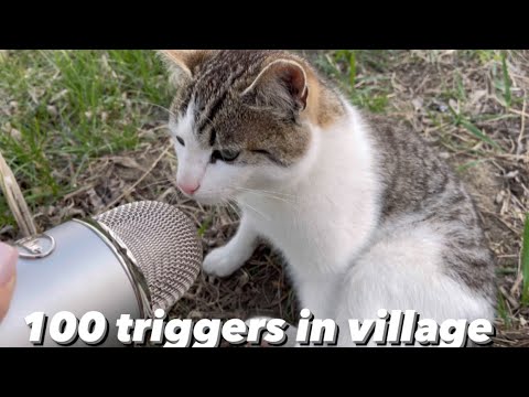 Asmr 100 triggers in village in 1 minute