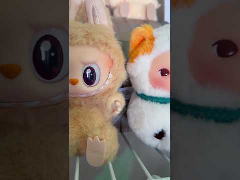 LABUBU VS PUCKY ROLY POLY KITTY #labubu #pucky #popmart