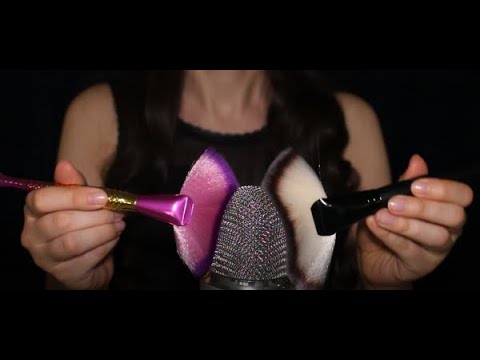 ASMR Brain Tingling Mic Brushing with Lots of Brushes (No Talking)