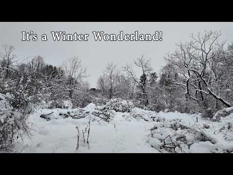 It's a Winter Wonderland!
