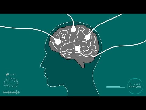 당신의 뇌는 심각한 팅글결핍 상태입니다. 𝗔𝗦𝗠𝗥
