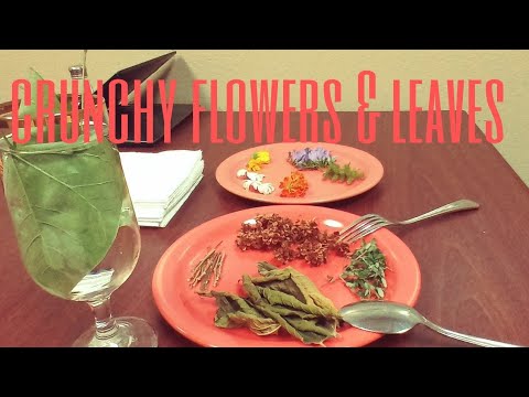 (ASMR) EATING CRUNCHY FLOWER'S & LEAVES:Igorot in Denver Colorado 🇺🇸