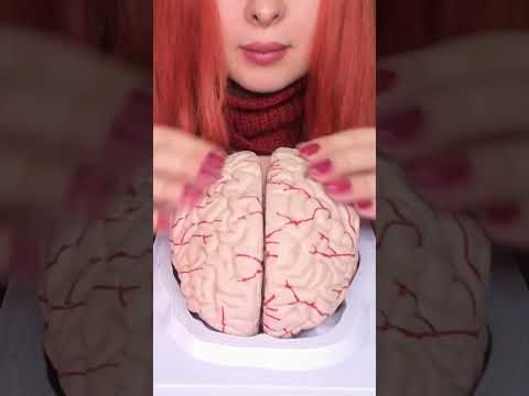 ASMR Most Tingly Brain Massage Ever (No Talking) #shorts
