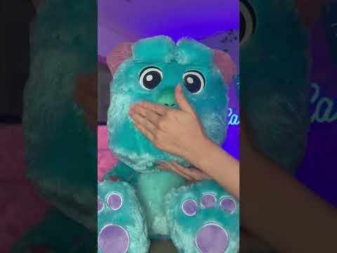 ASMR no meu sully