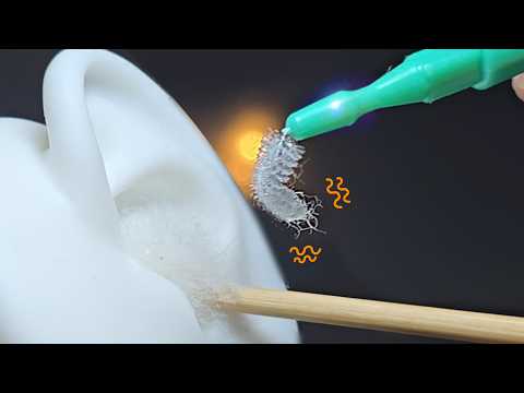 ASMR 이 귀청소는 자극점부터가 다릅니다. (L ↔ R 관통구간 있음) No Talking Ear Cleaning