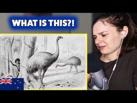 European Reacts to Geography Now! New Zealand 🇳🇿
